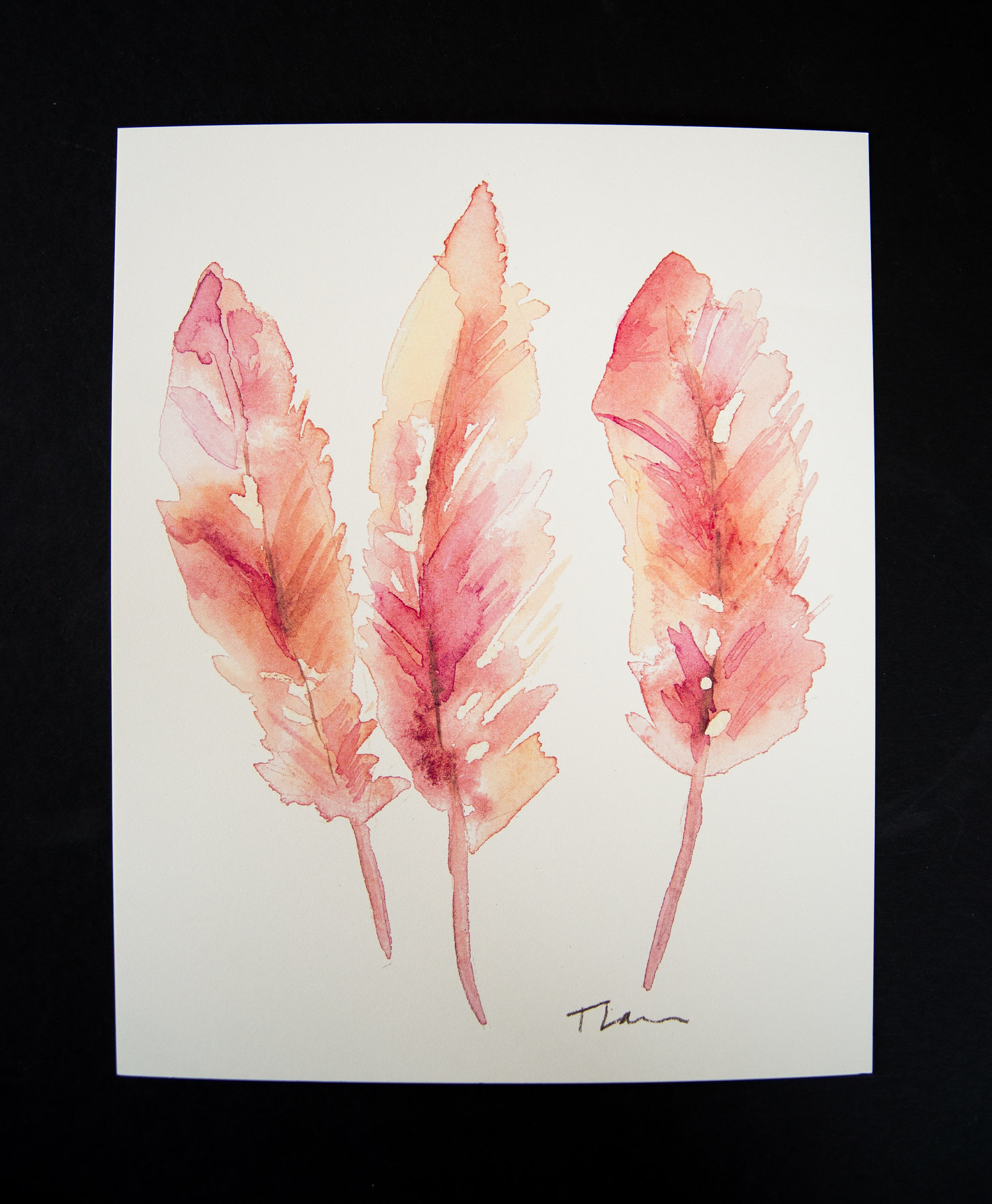 Pink Feathers - Print — Blooms & Company