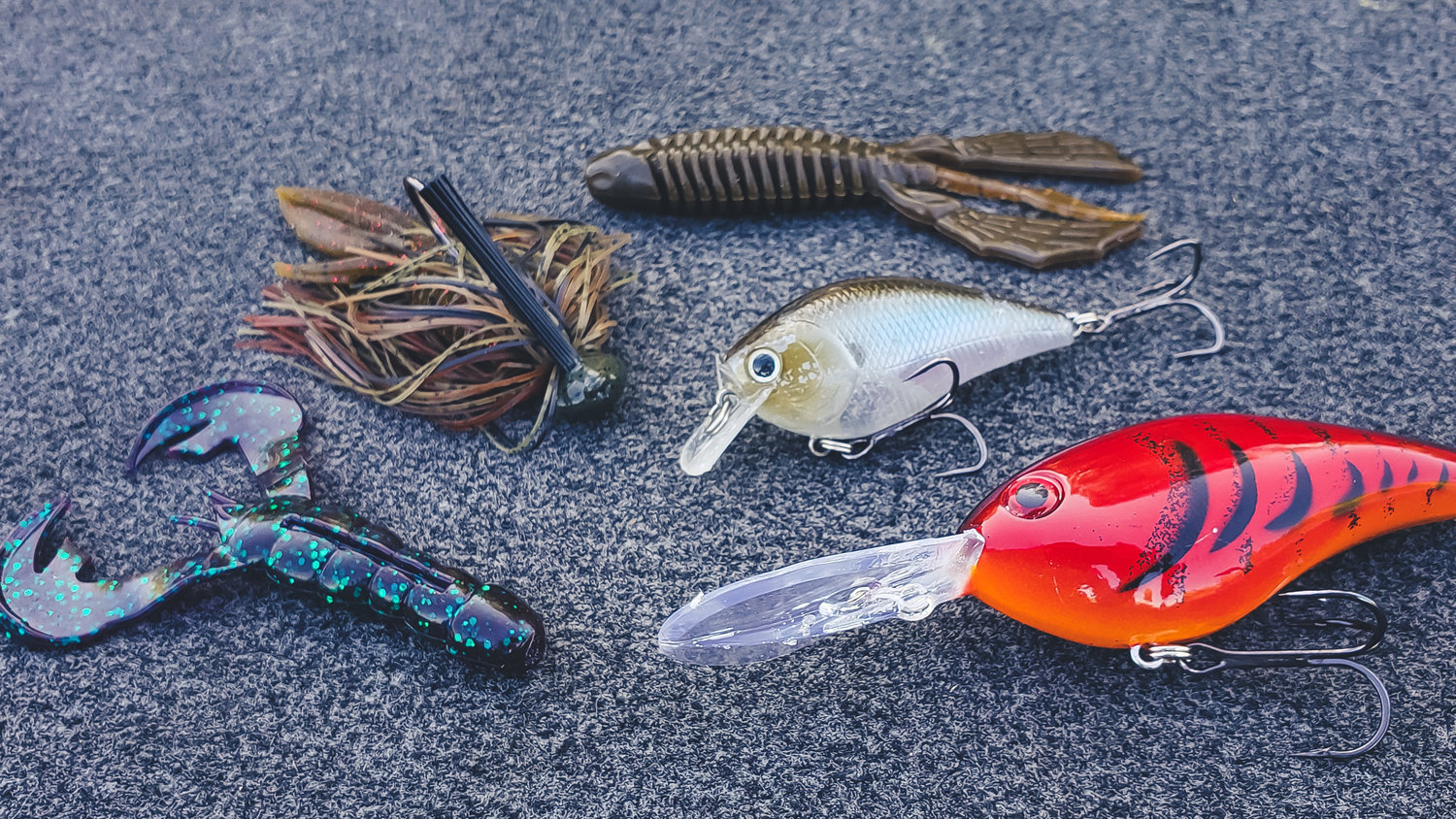 Where Do Bass Go During The Fall Transition? (And How To Catch