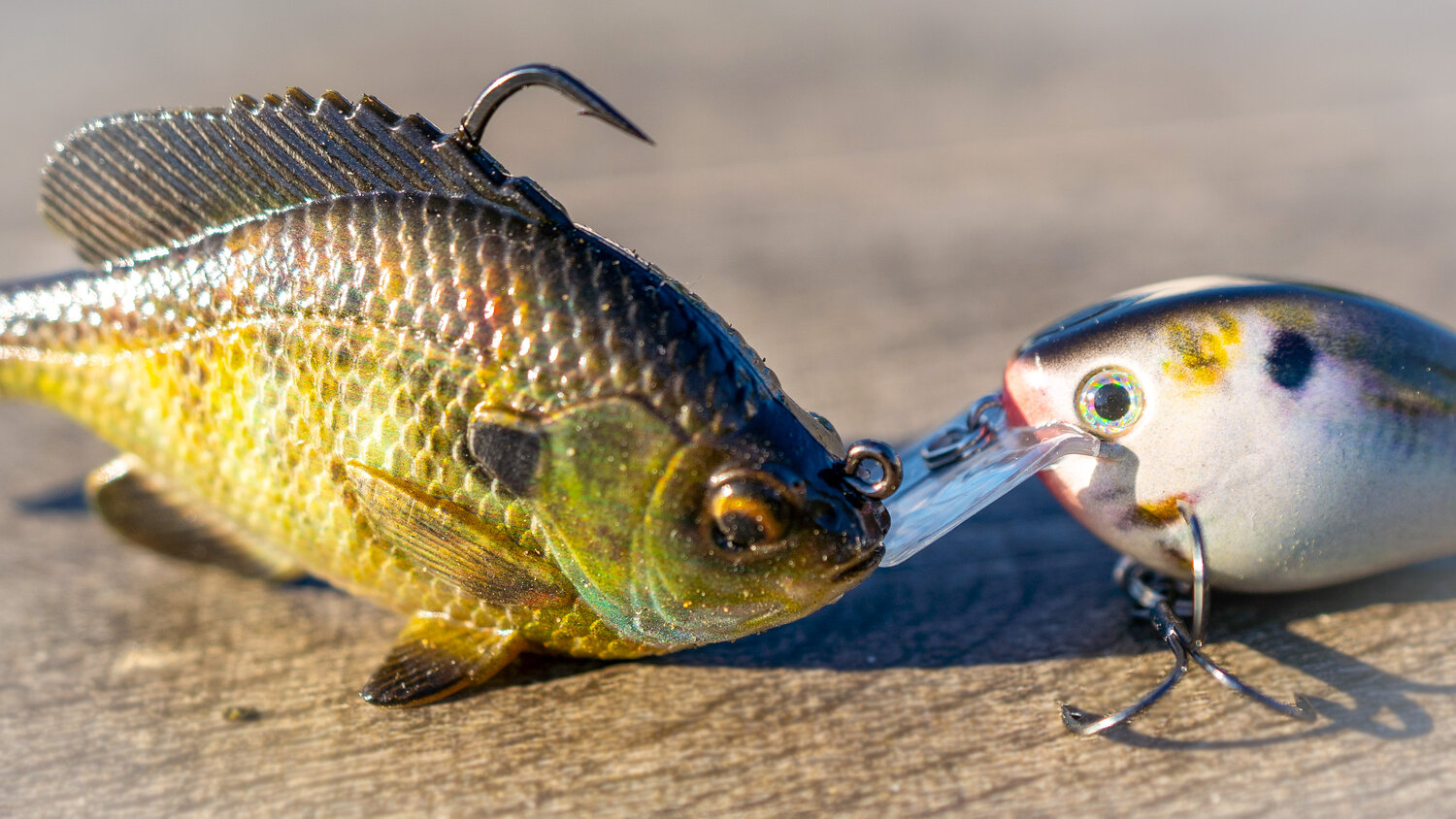 Cheap Lures That Actually Work! Save Money and Catch Fish!! — Tactical  Bassin' - Bass Fishing Blog