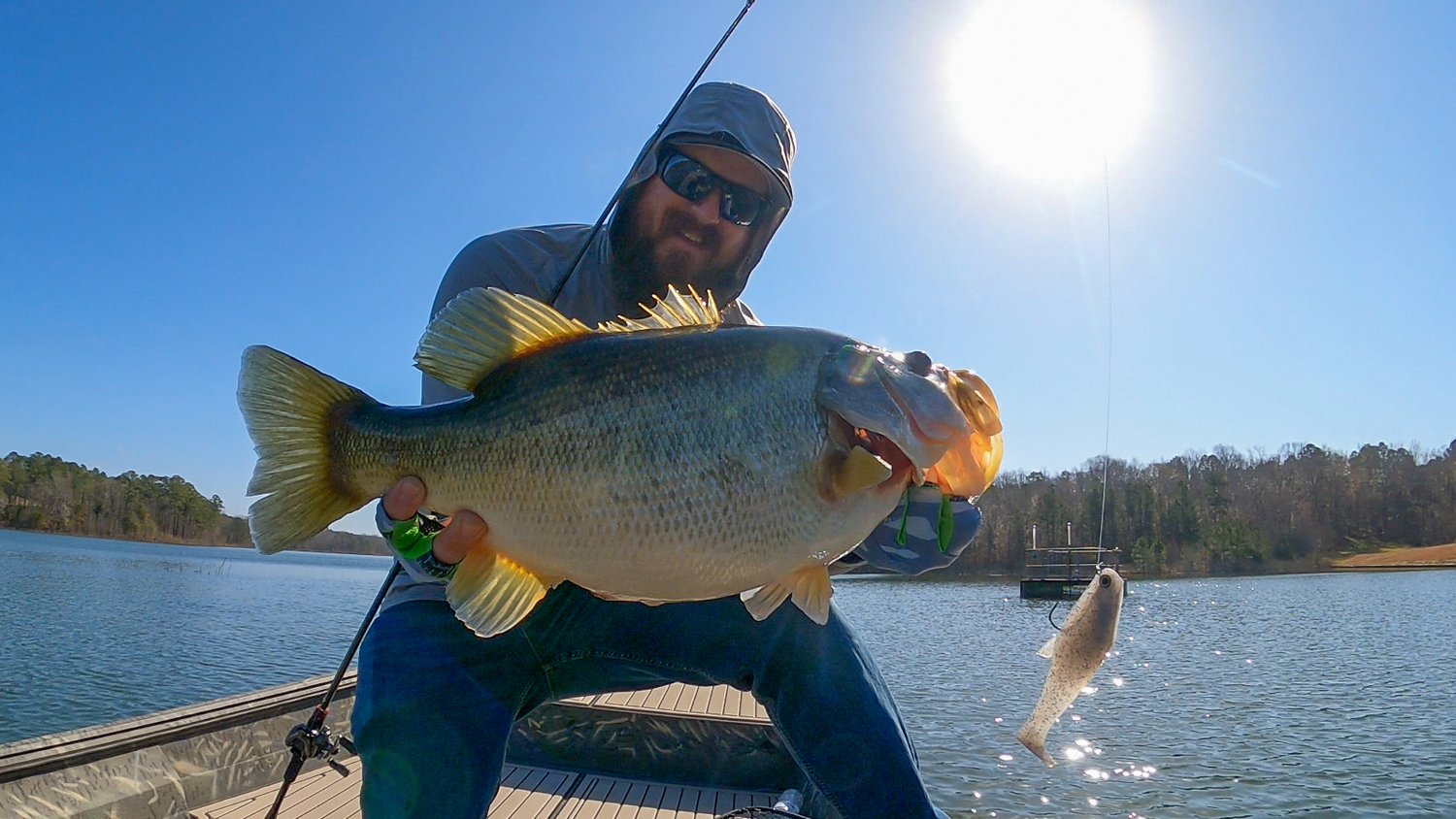 Swimbait Fishing Is EASY! Spring Bass Fishing For BIG Bass! — Tactical  Bassin' - Bass Fishing Blog