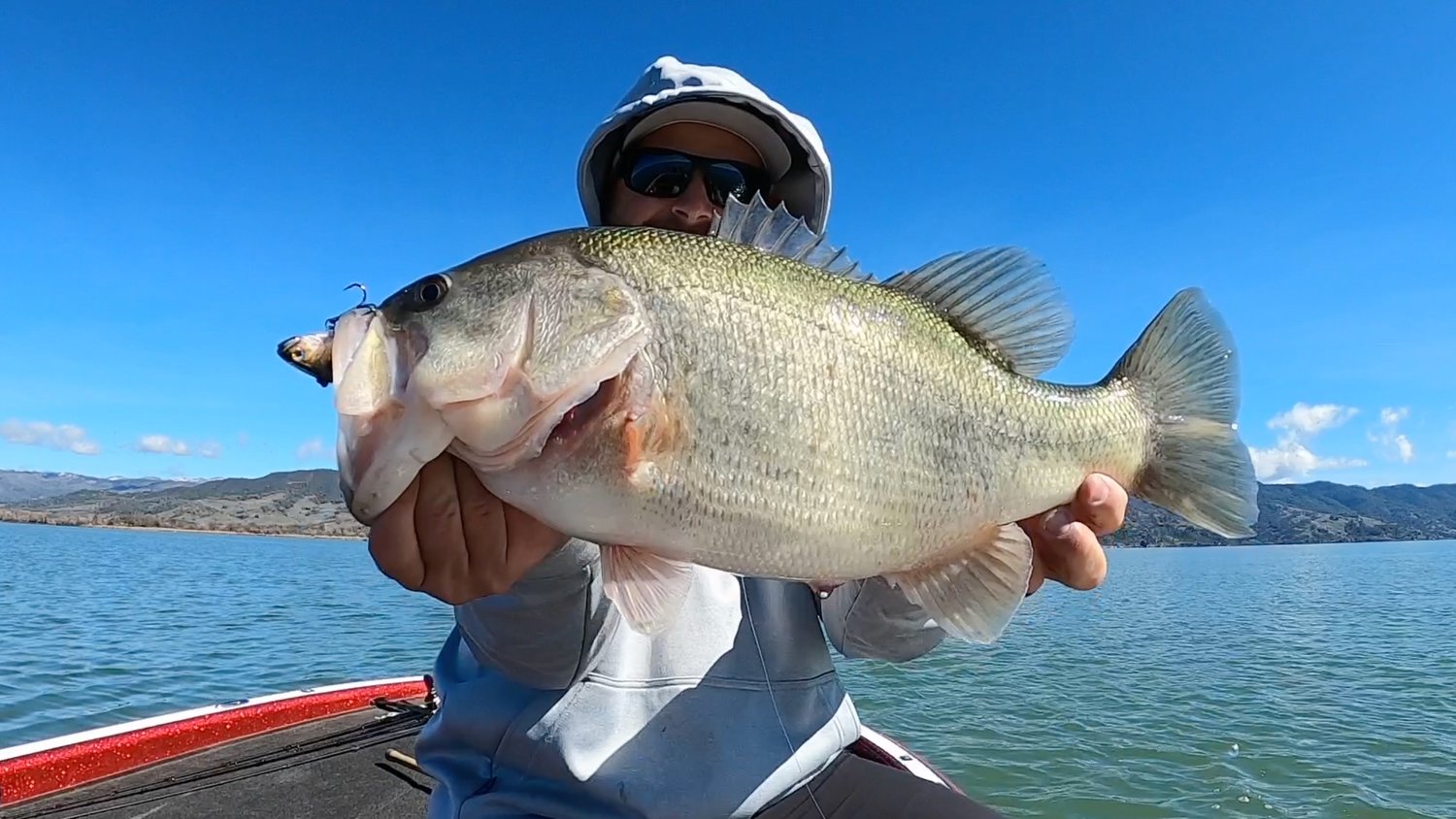 Lipless Crankbait Tricks + Blade Bait Tips For Spring Bass Fishing! — Tactical  Bassin' - Bass Fishing Blog