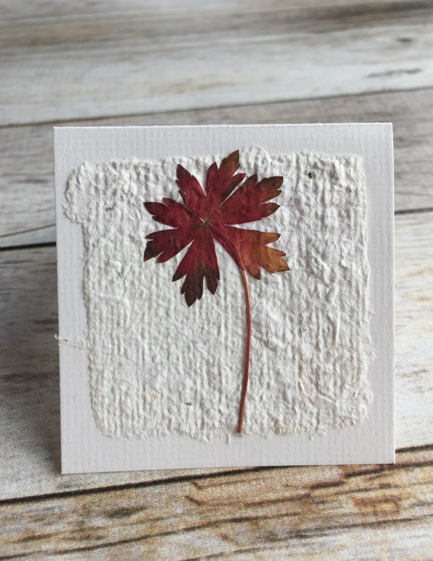 autumn-leaf-handmade-paper-gift-tag-wooden-deckle-papermaking-kits