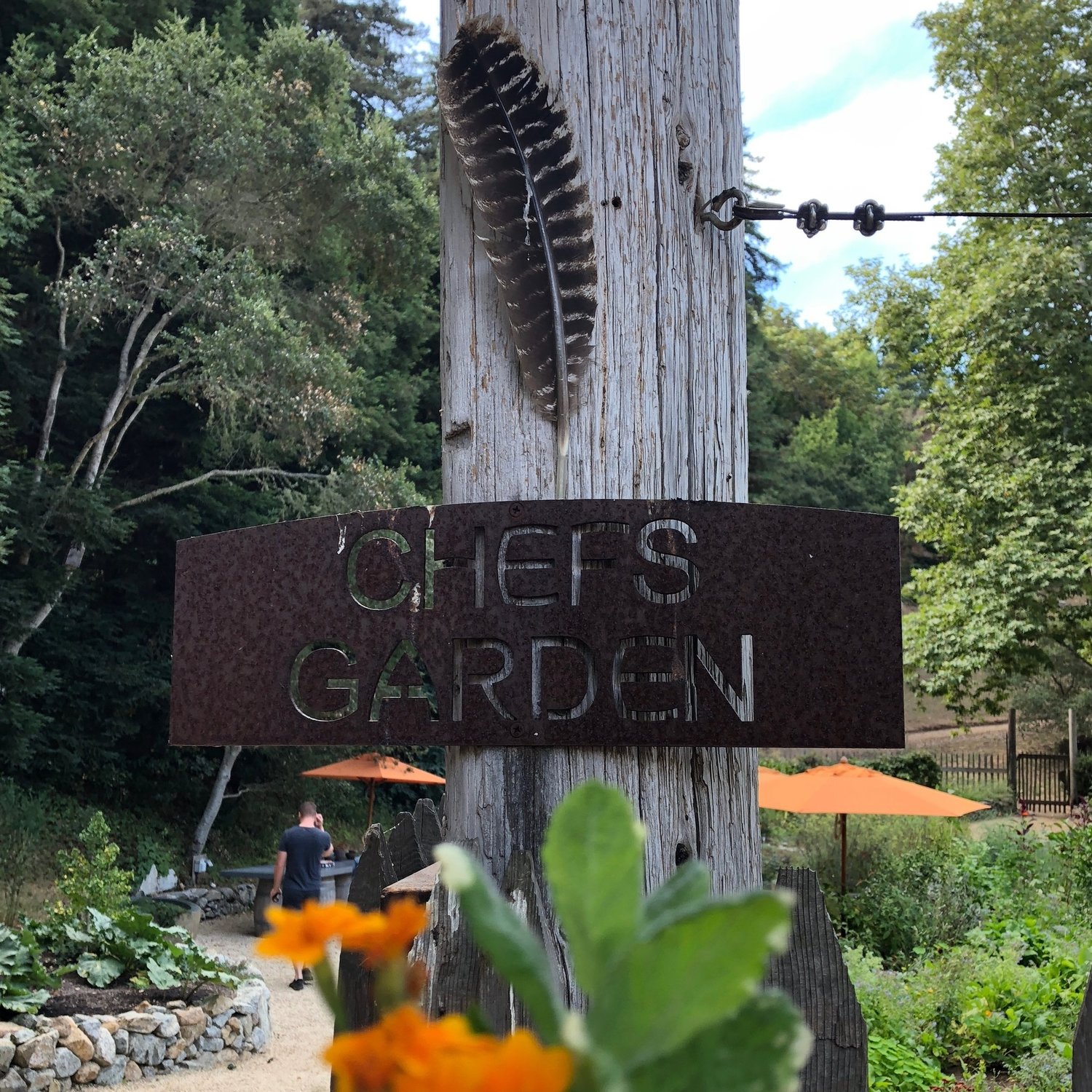 Chef S Garden At The Post Ranch Inn Y Delicacies