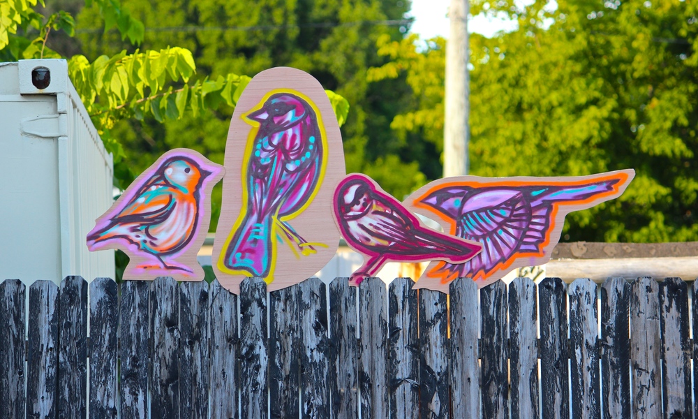 Spray painted birds by Chris Chappell