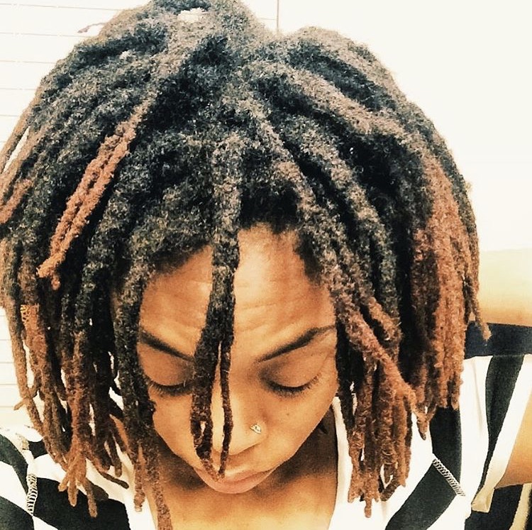 Getting Started With Freeform Locs Dr Locs