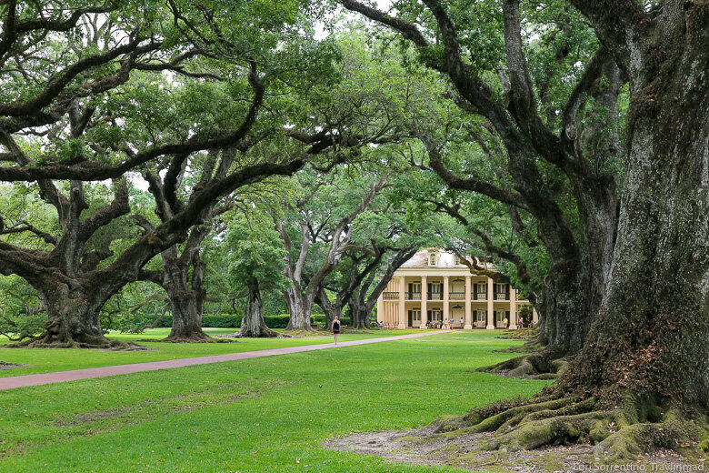 3 Unforgettable New Orleans Plantations to Visit Along the Great River Road