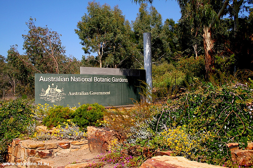 Australian-National-Botanic-Gardens-IMG1