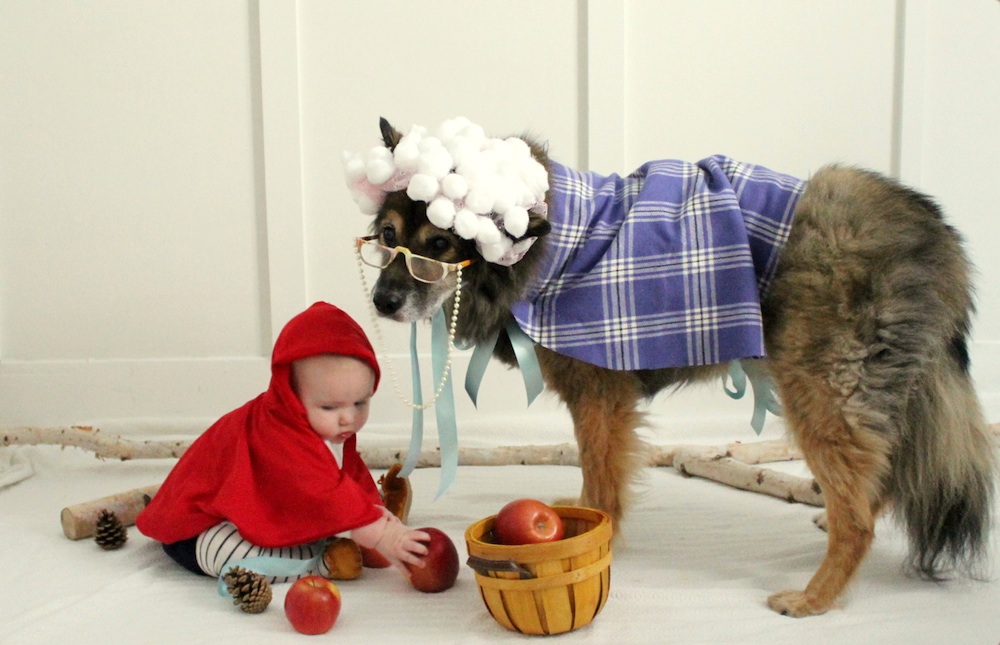meteor klo Martin Luther King Junior The Sweetest Little Red Riding Hood and the Big Bad Wolf Costume {a baby  and her dog}