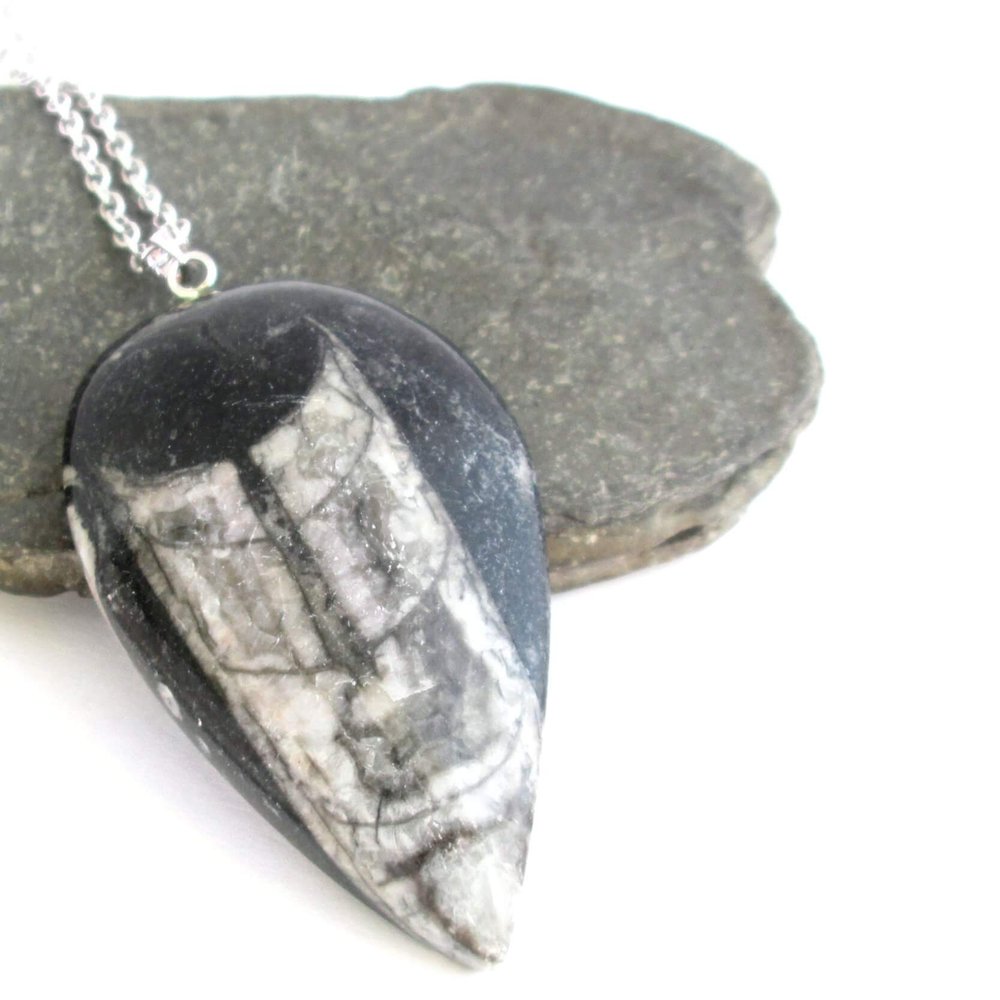Orthoceras Fossil Sterling Silver Pendant 2 Styles Father's Day 