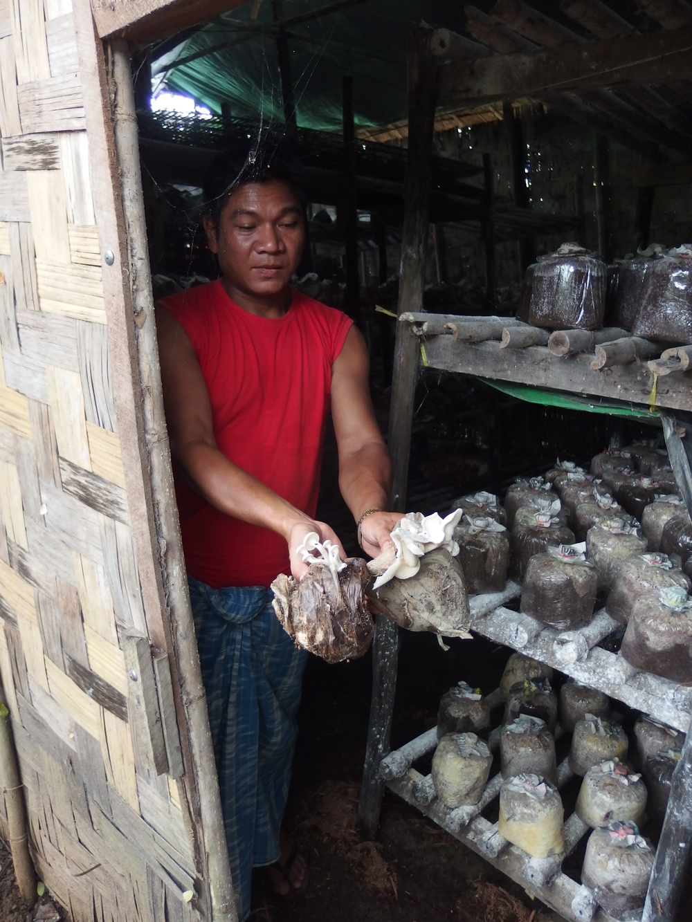 U Kyaw La tends to the clinic's large mushroom farm.