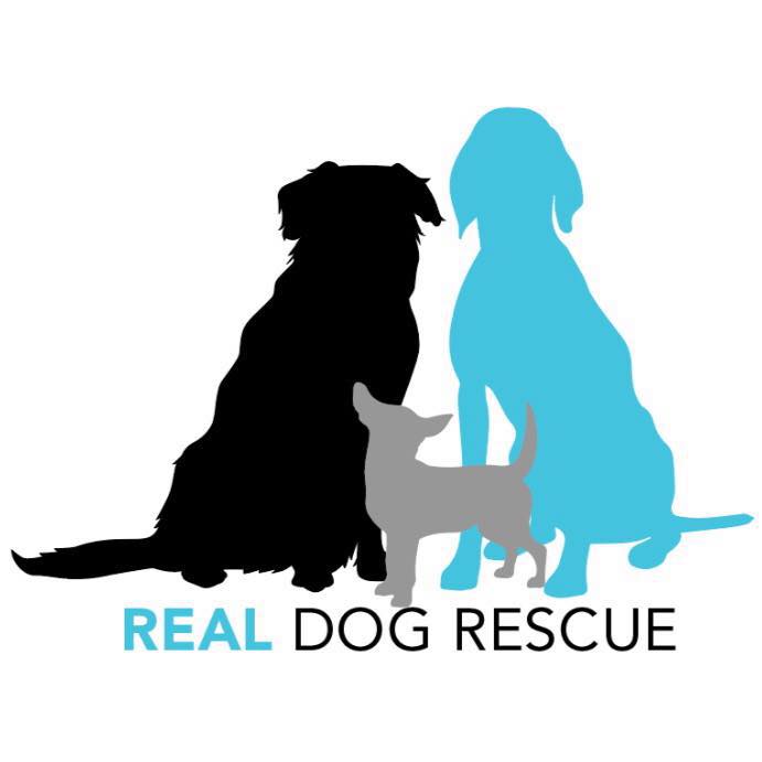 www.realdogrescue.org