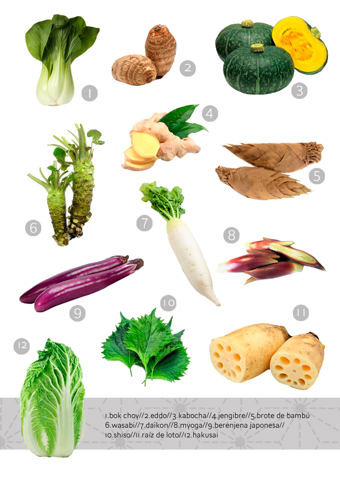 variedades verduras japonesas