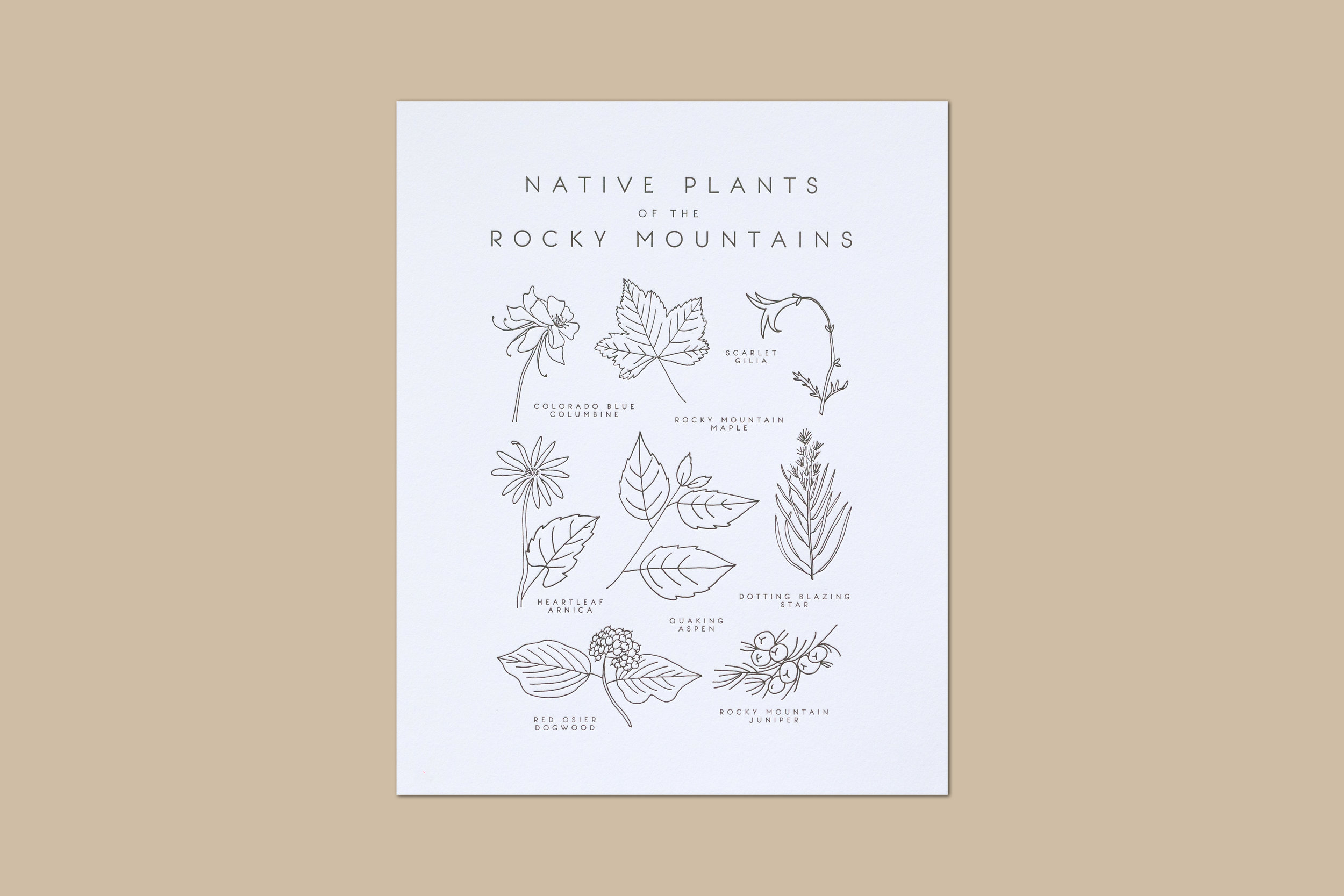 Native Plants Of The Rocky Mountains Print Taiga Press