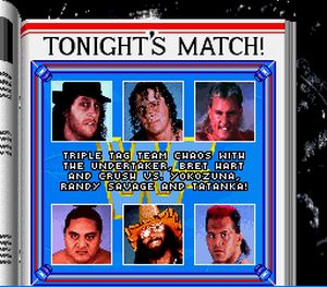 3 - WWF Royal Rumble (Sculptured Software/LJN, 1993)