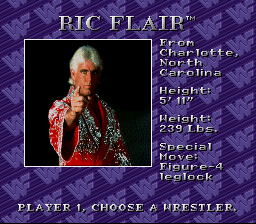 flair - WWF Royal Rumble (Sculptured Software/LJN, 1993)