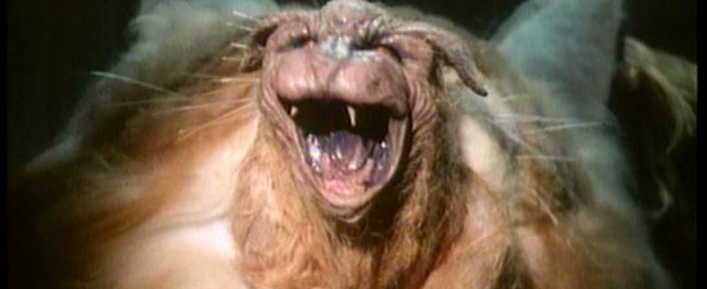 Evil/Killer Animal and Plant Movies of the 1980s: A Complete List — Full  Length Horror Movies 