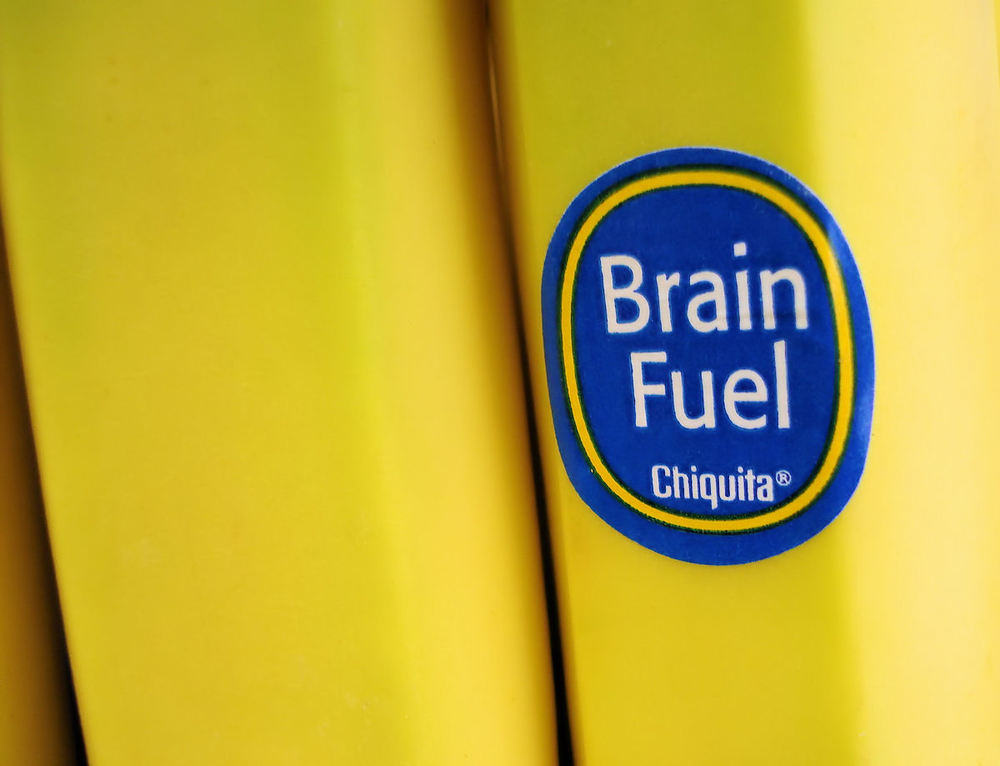 What foods are considered brain fuel?