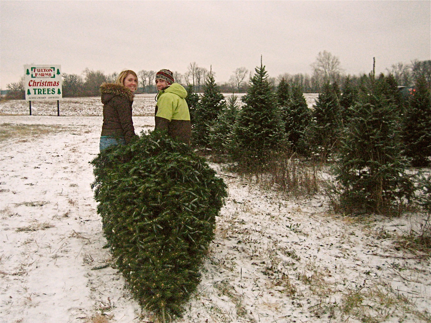 A Couple Cutting Down Their Christmas Tree