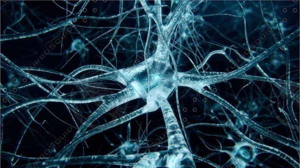Enquête sur les neurones Neurons3.JPG8a737025-5b94-4b02-a49e-930b4b2f2108Large