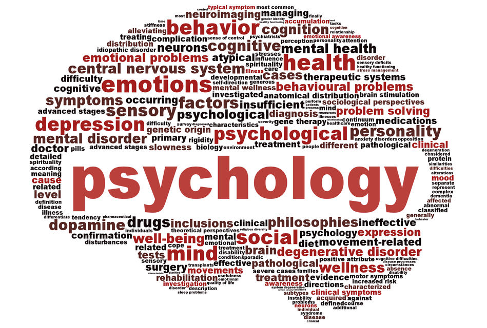 Image result for psychology pictures