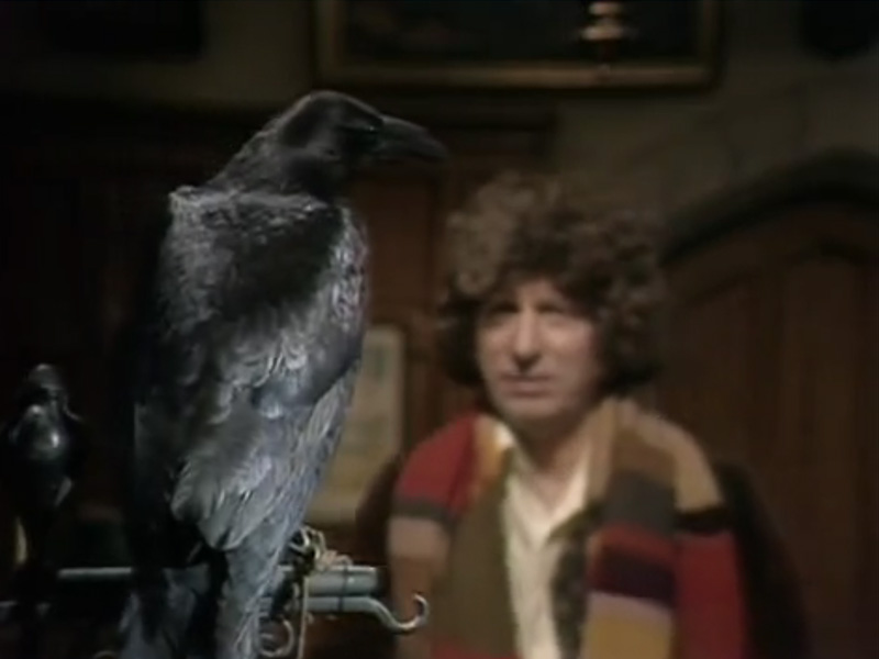 The-Doctor-and-crow.jpg