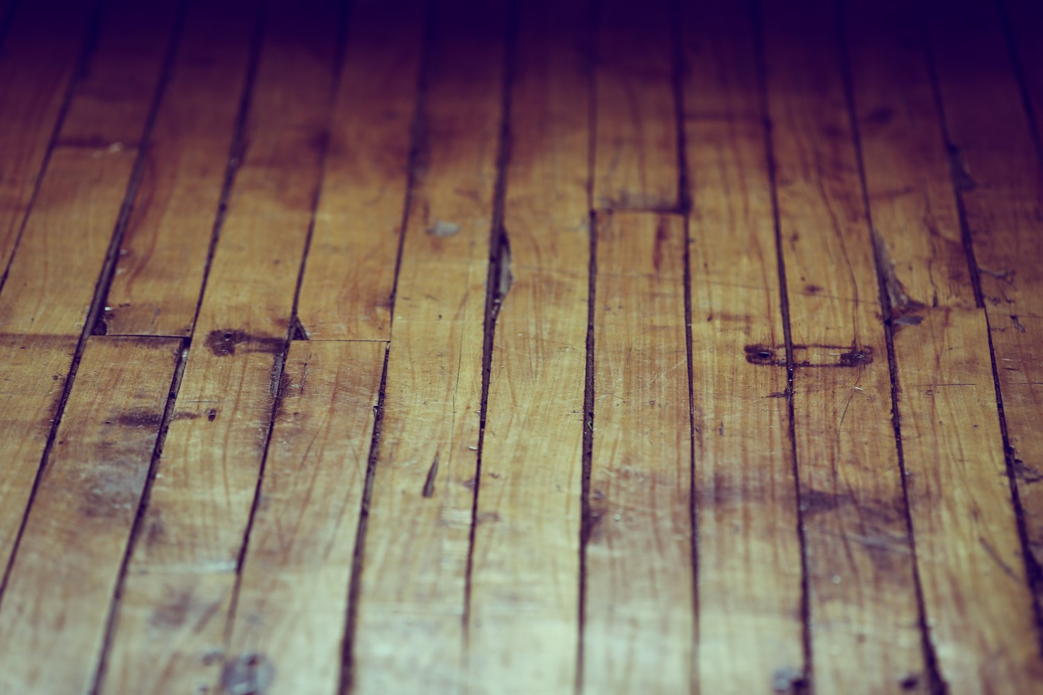 Trowel Filling Cracks In Your Hardwood Floors Hardwood Floor