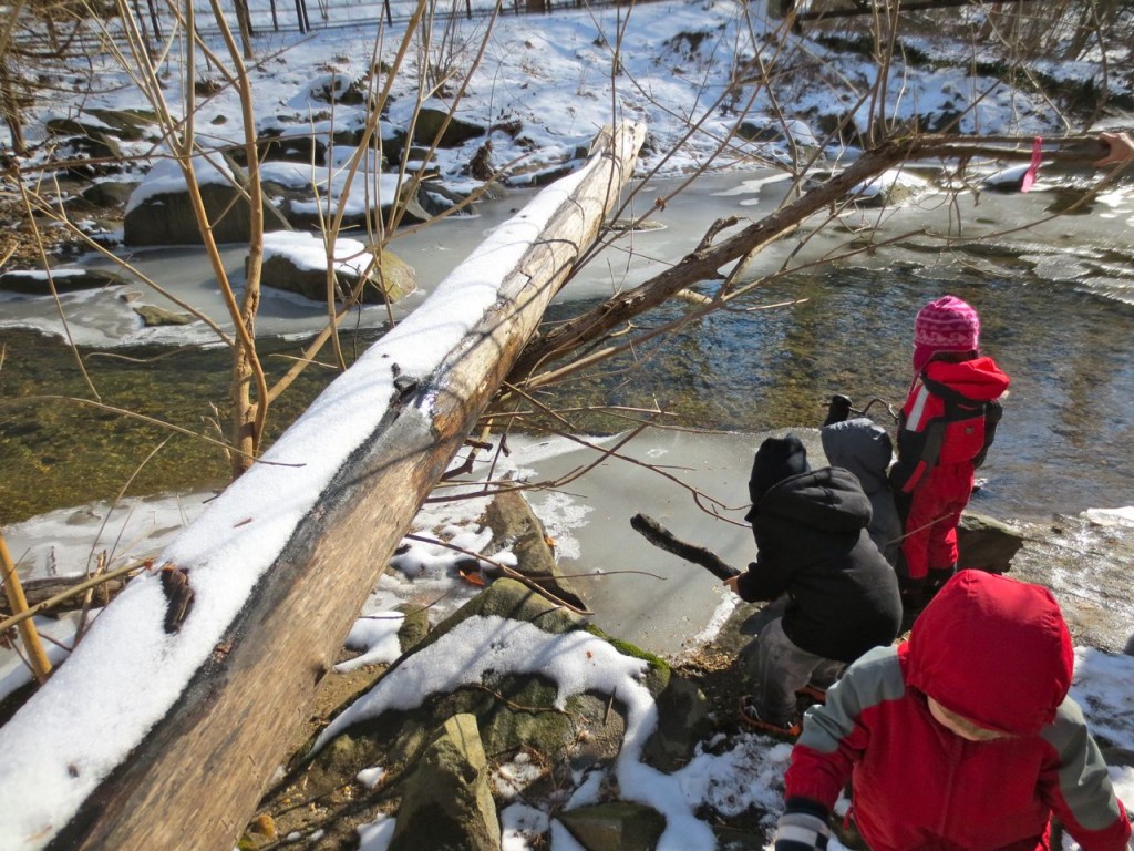 The ice was tested with sticks and stones. A fallen tree has become a stand-in for the first fallen tree we found.