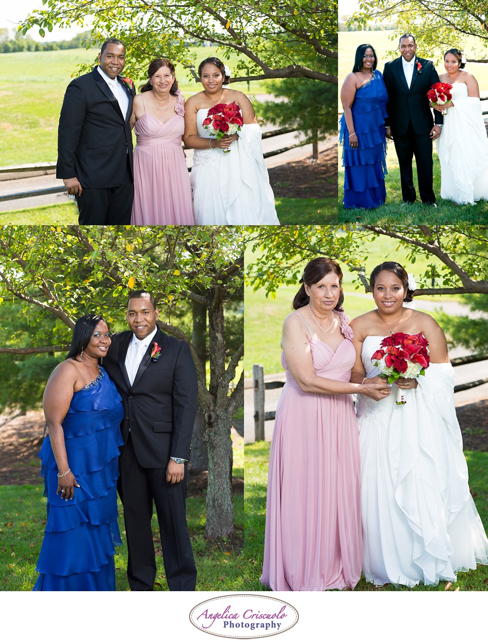Staten Island Photography Portrait Wedding Ideas VJCoddWedding8.12.12-237