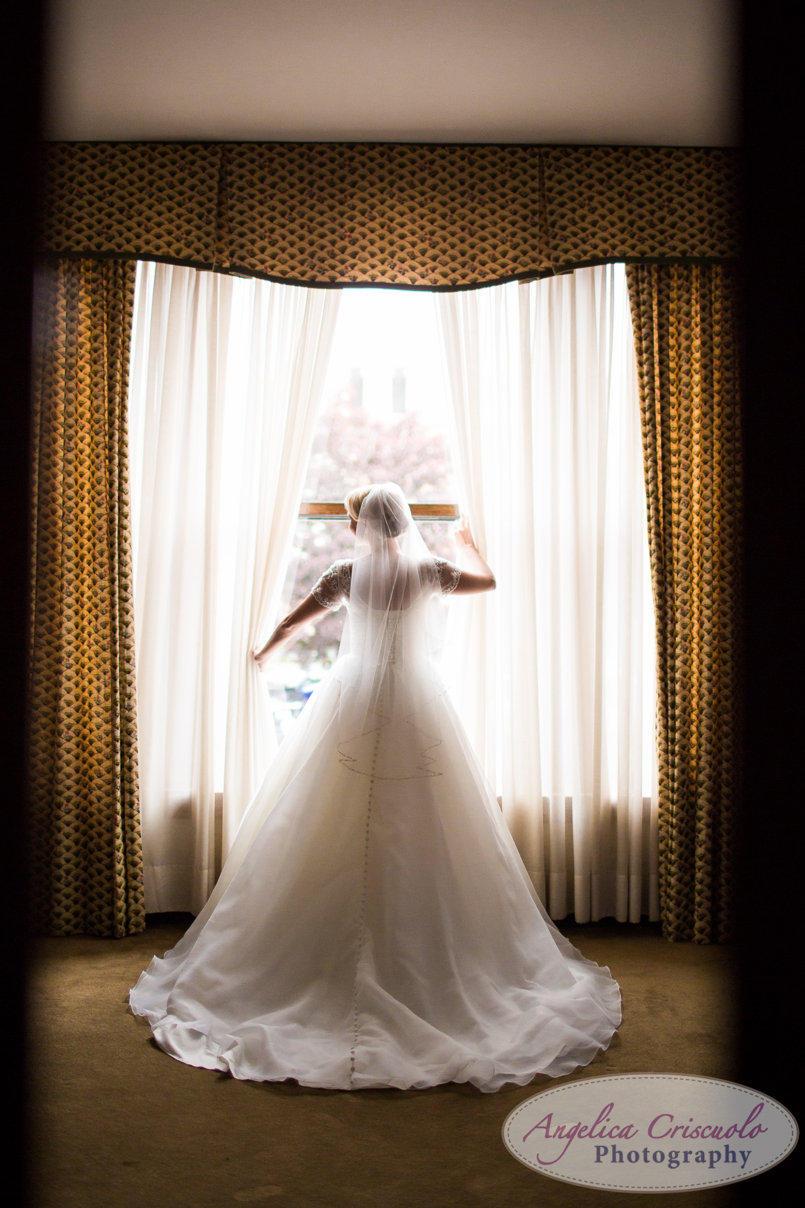 Buffalo New York Wedding Photographer bridal portrait