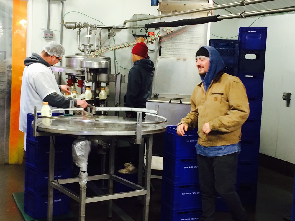 Dairy workers at Twin Brook Creamery, Lynden, WA. Photo by William Dixon, 2015. 