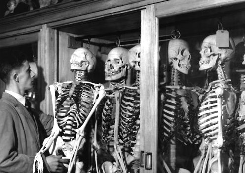 Image result for skeleton in the closet