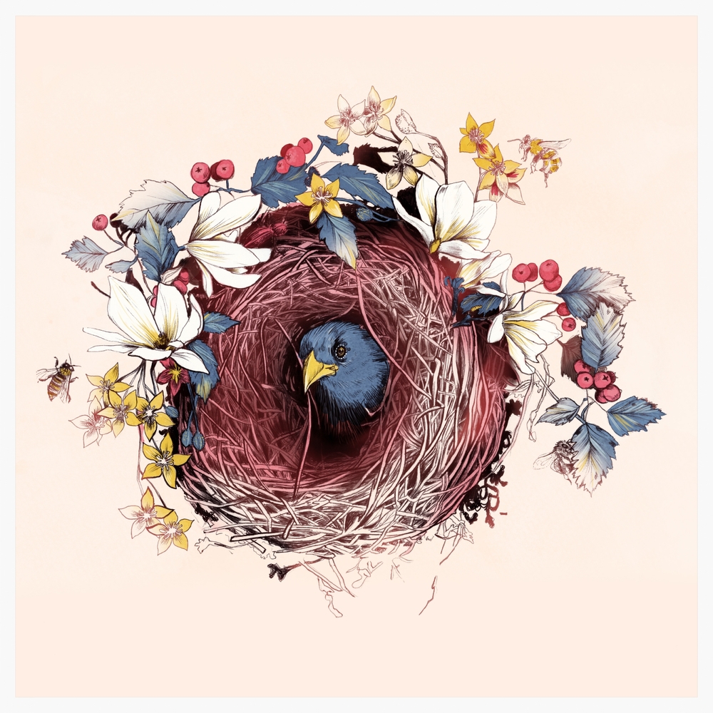 Nesting by La Scarlatte