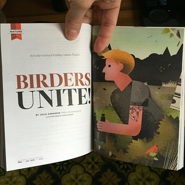 Dave Murray illustration Birders Unite for Readers Digest