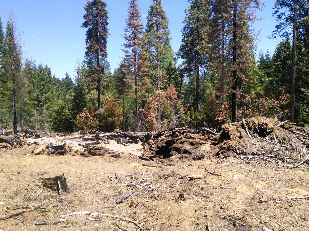 The slash from a treatment was piled and burned. The smoke emissions were measured as part of a study through Placer County.
