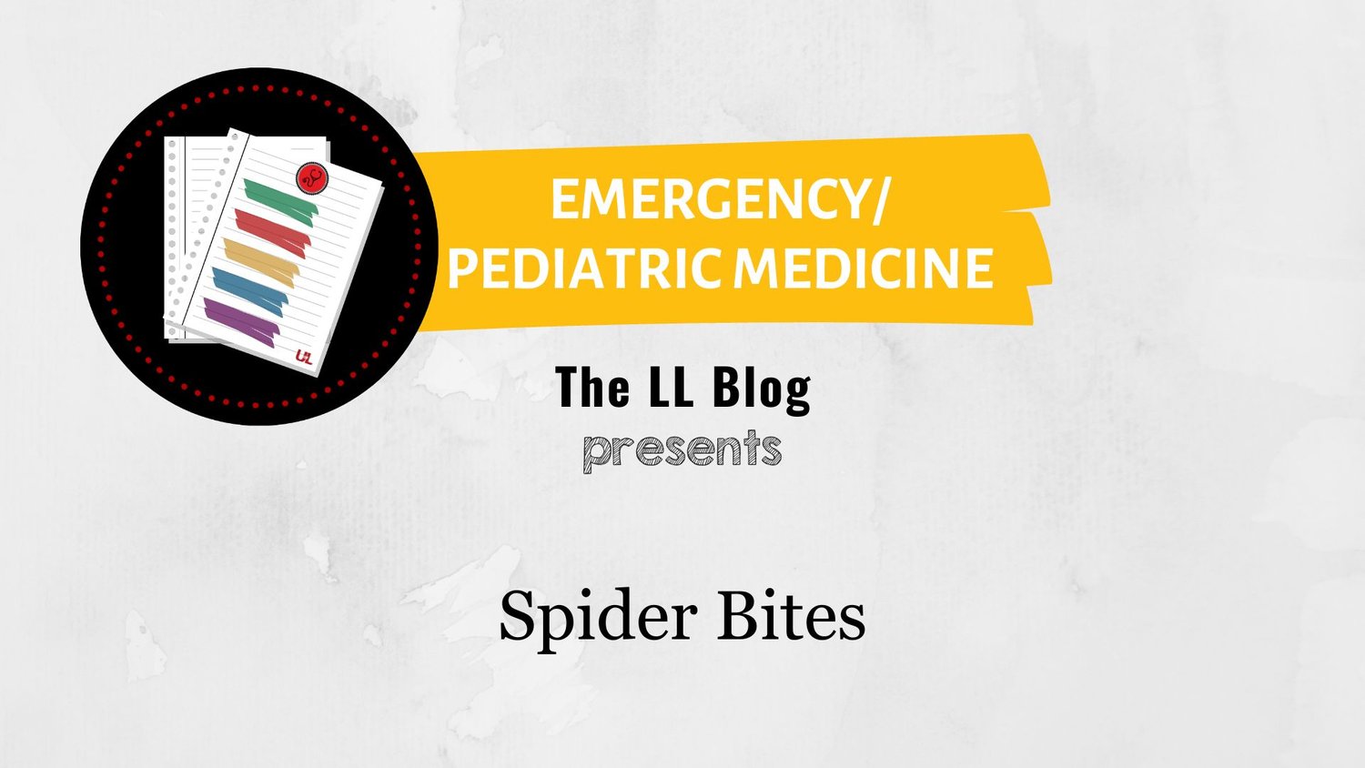 Spider Bites — Louisville Lectures