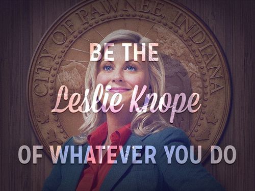 "These people are members of the community that care about where they live. So what I hear when I’m being yelled at is people caring loudly at me." - Leslie Knope, Parks & Recreation