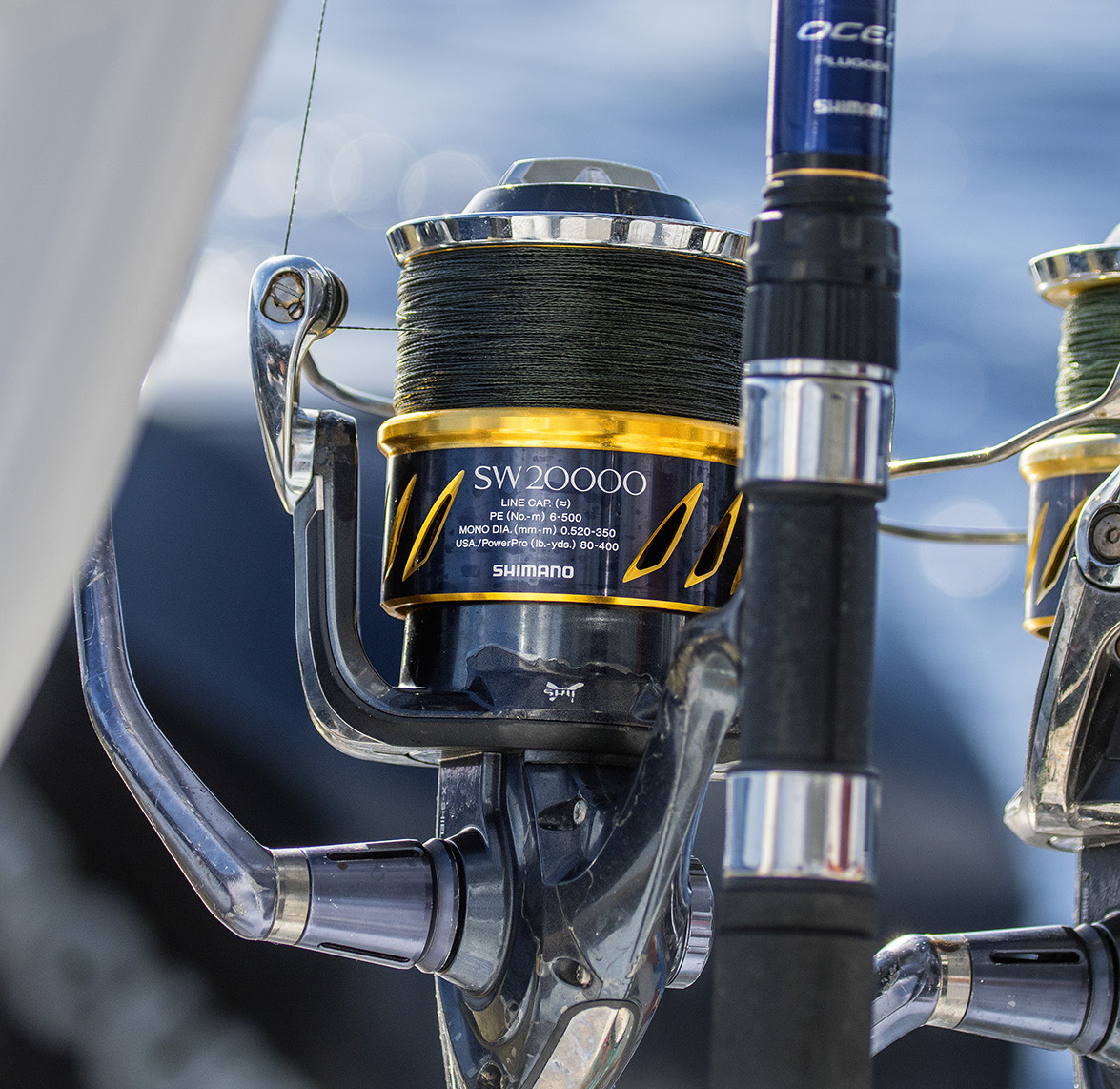 Shimano  Spinning Reel — Into the Blue Fishing Blog