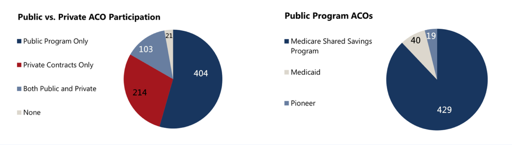 A breakdown in program size shows that participation in the various private and public sector programs is varied. 