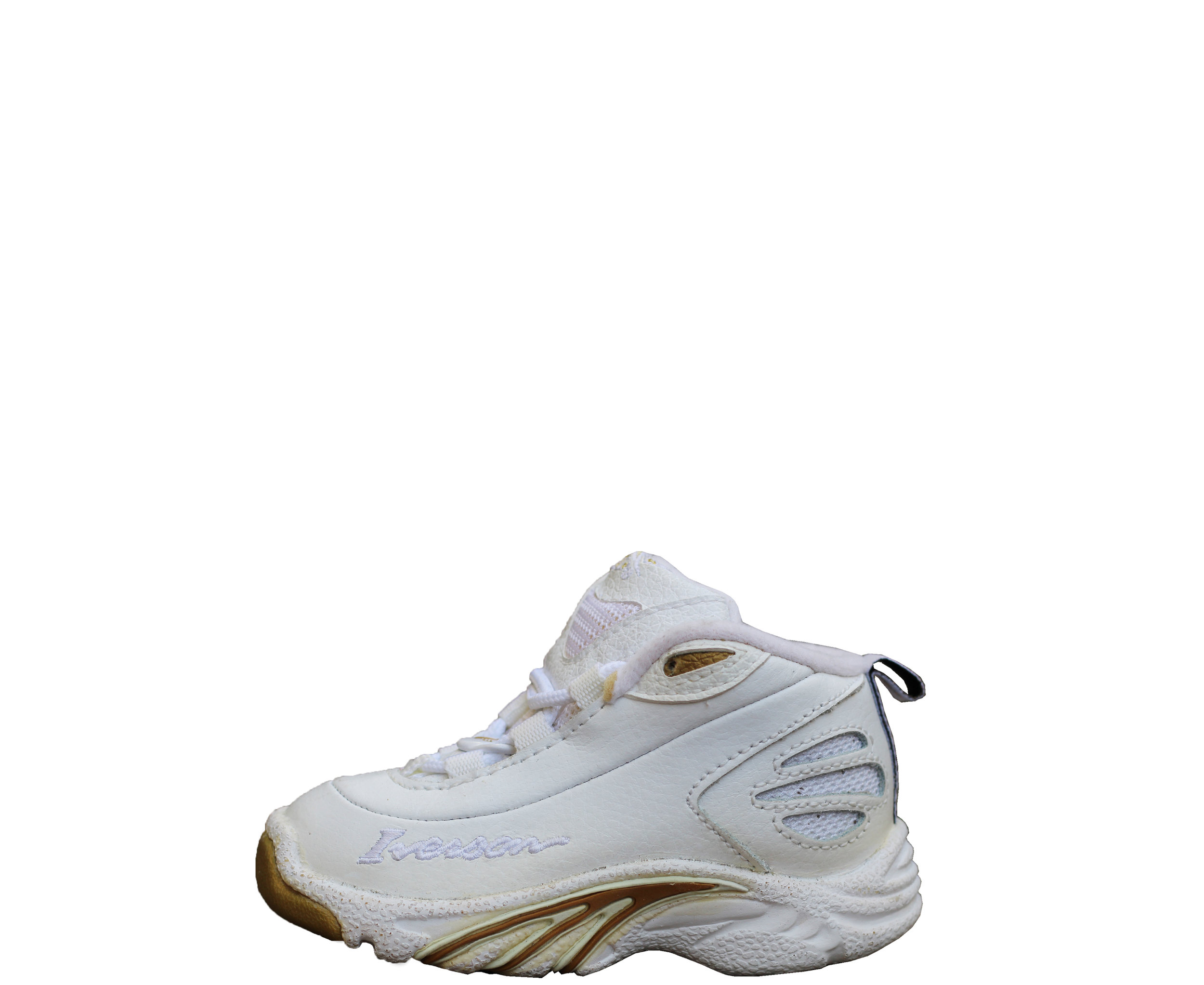 answer 2 shoes iverson