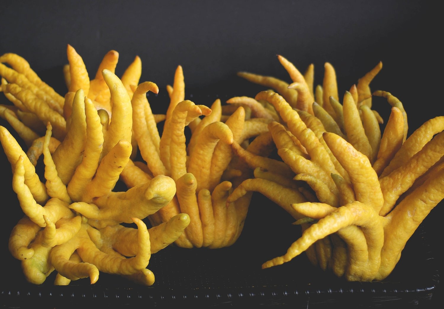 Buddha's Hand Citron - Yes! You should eat this thing. — Moscow Food Co-op