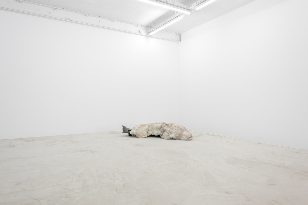 Installation view, Steffen Bunte, Shell; Fiction (Trailer), Galerie Jeanroch Dard