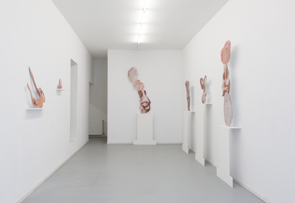 Installation view, Rachel de Joode, Connective Tissue, CINNAMON