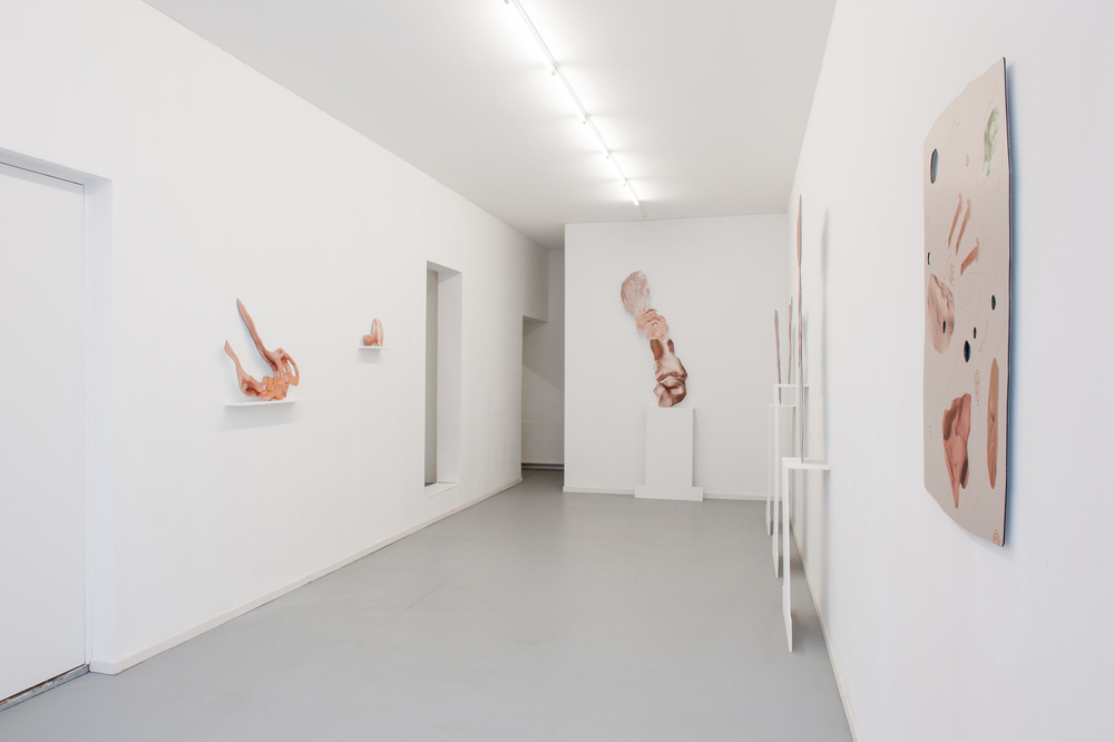 Installation view, Rachel de Joode, Connective Tissue, CINNAMON