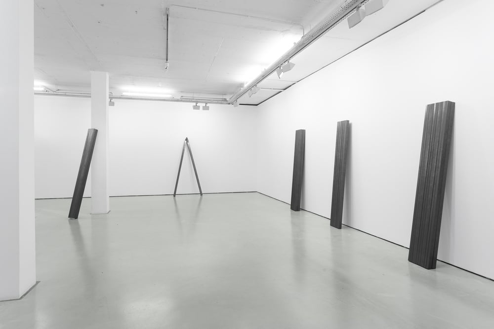 Installation view, Diogo Pimentão, Transitory Capture, Cristina Guerra Contemporary Art