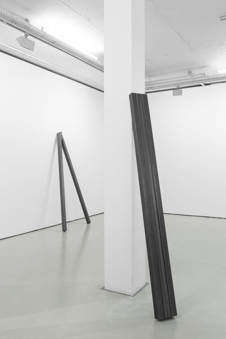 Installation view, Diogo Pimentão, Transitory Capture, Cristina Guerra Contemporary Art