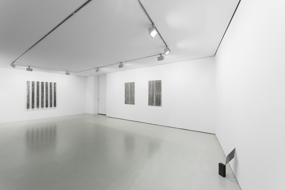 Installation view, Diogo Pimentão, Transitory Capture, Cristina Guerra Contemporary Art