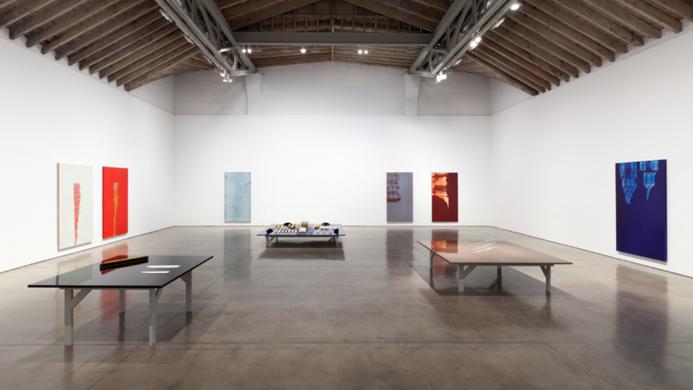 Installation view, Tauba Auerbach, Projective Instrument, Paula Cooper Gallery