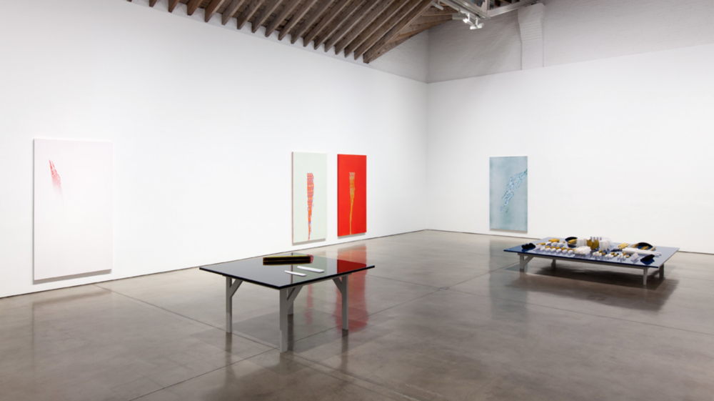 Installation view, Tauba Auerbach, Projective Instrument, Paula Cooper Gallery