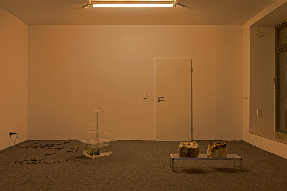 Installation view, Gina Folly, soon is now, SPREEZ