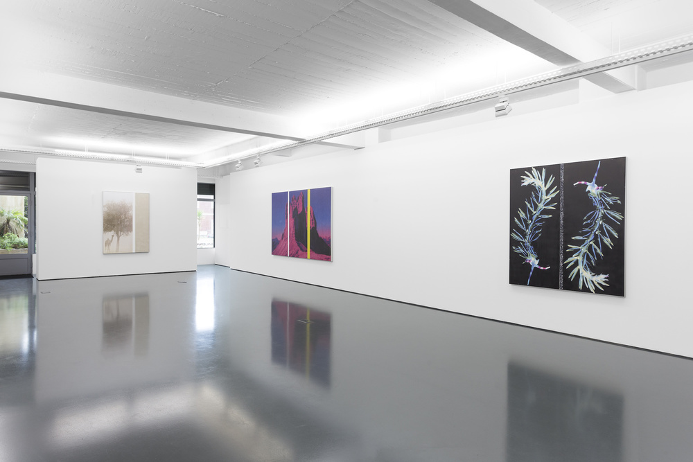 Installation view, Diogo Evangelista, A driver who indicates left and then turns right, Galeria Pedro Cera